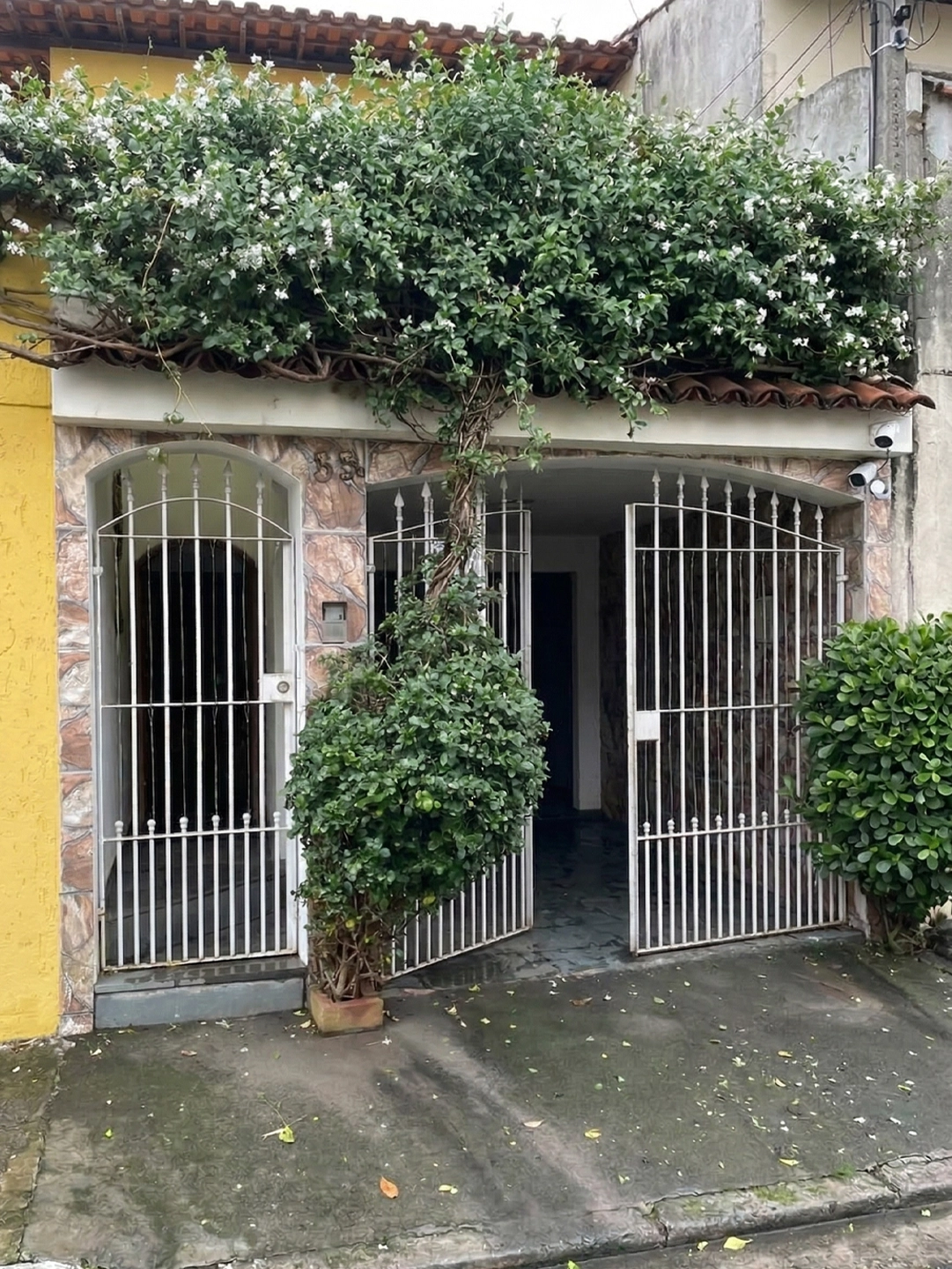 centauroportoes_antes_05