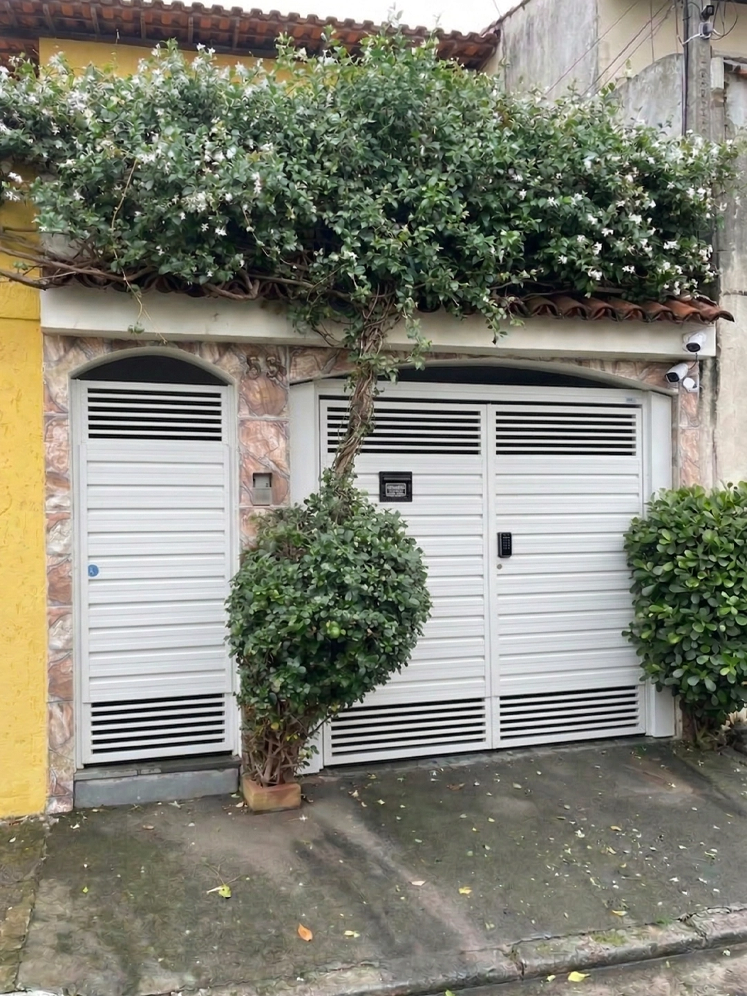 centauroportoes_depois_05